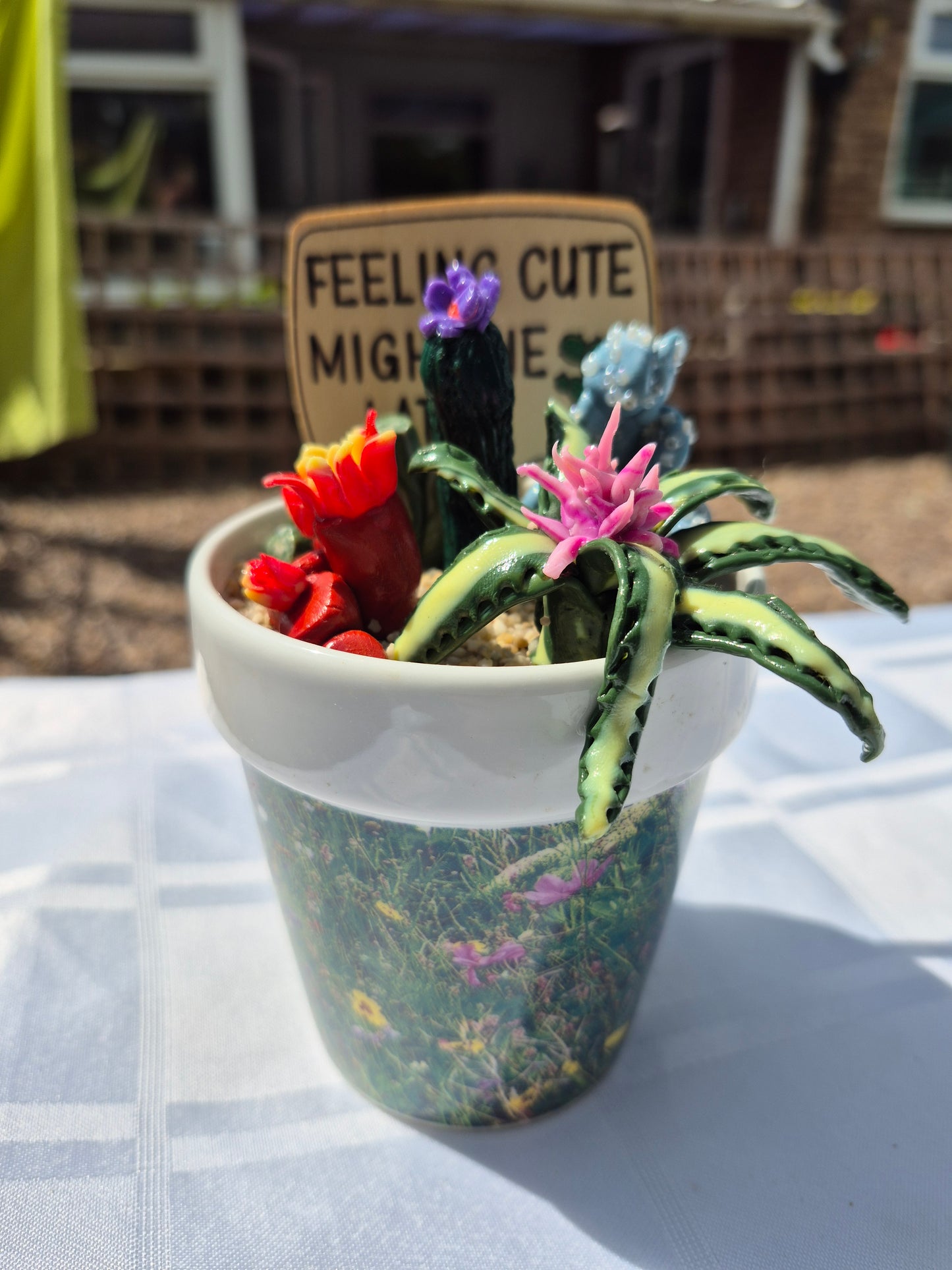 Feeling Cute Cacti Pot