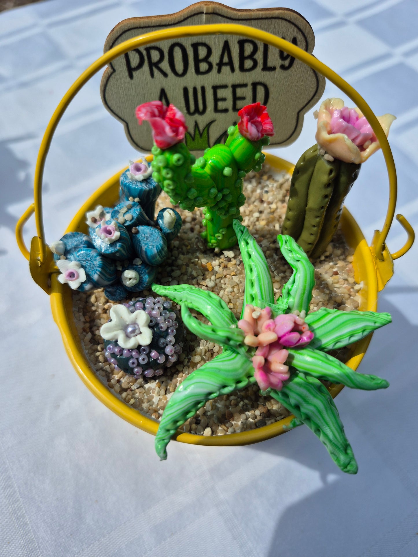 Probably a weed cacti bucket