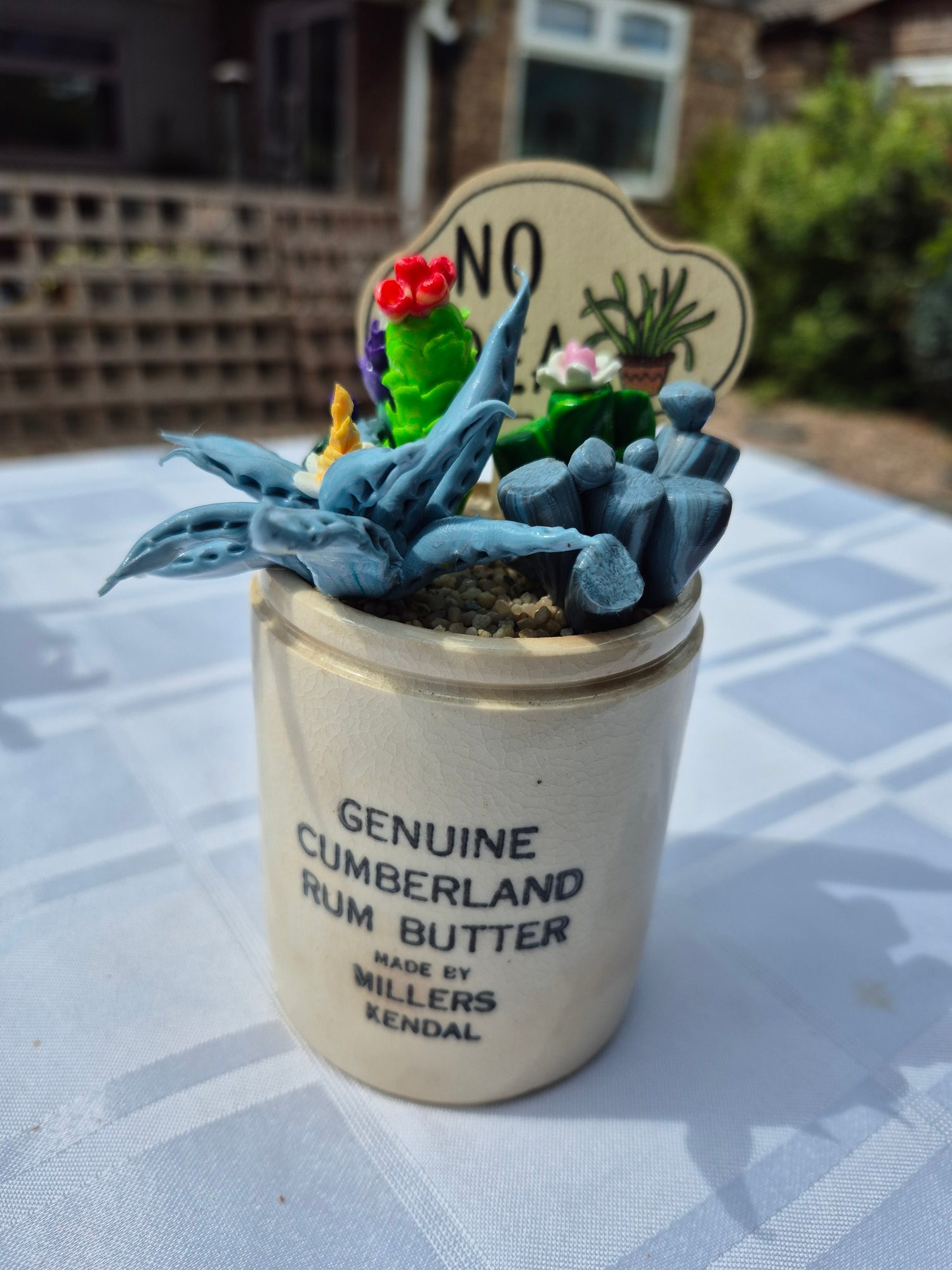 Ever lasting cacti pots
