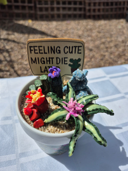 Feeling Cute Cacti Pot