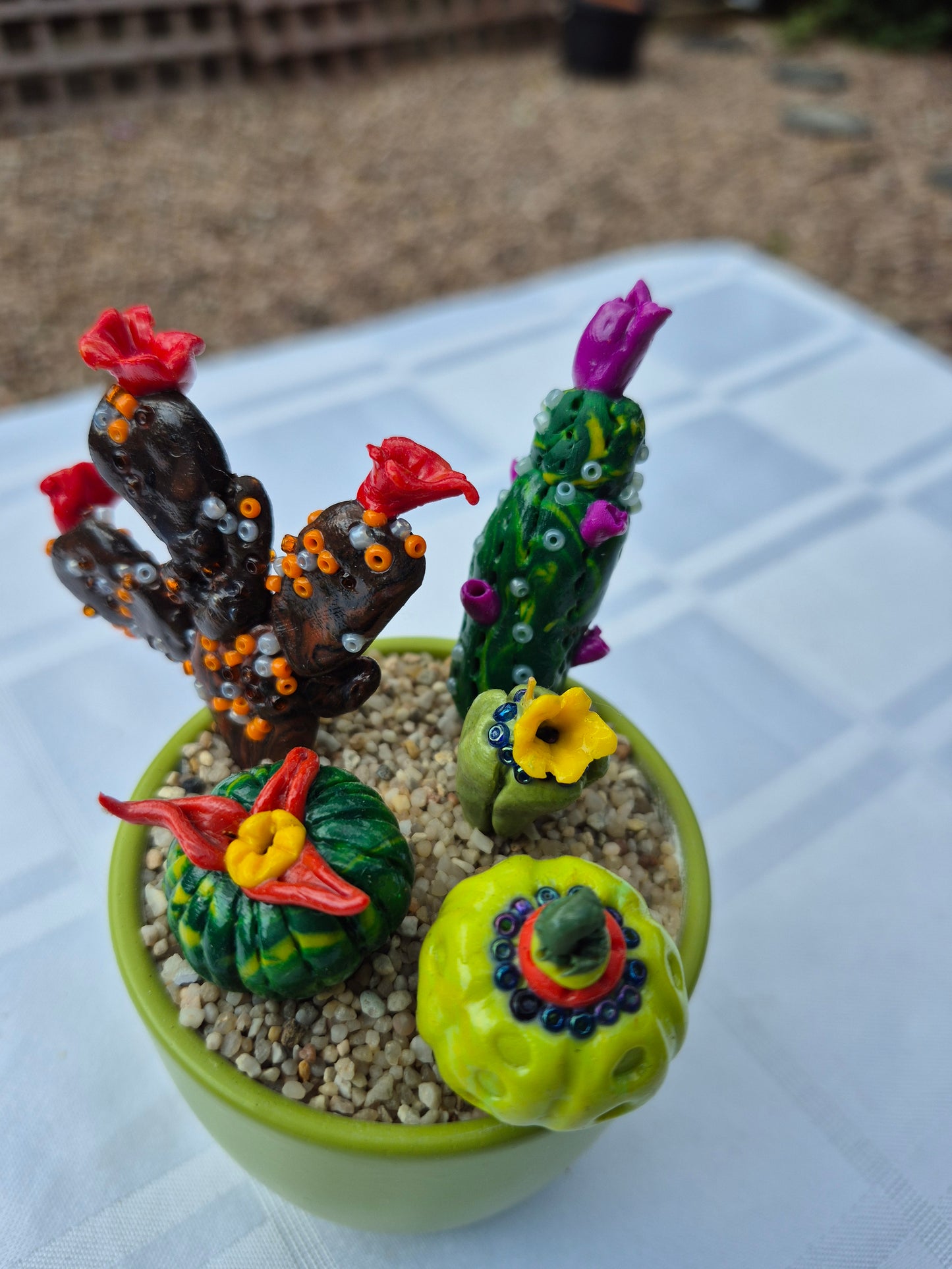 Green pot Cacti selection
