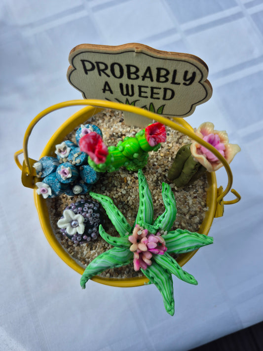 Probably a weed cacti bucket