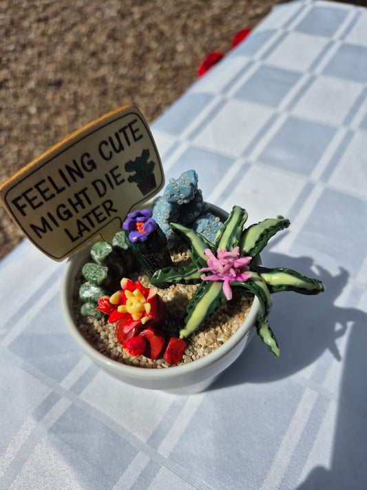 Feeling Cute Cacti Pot