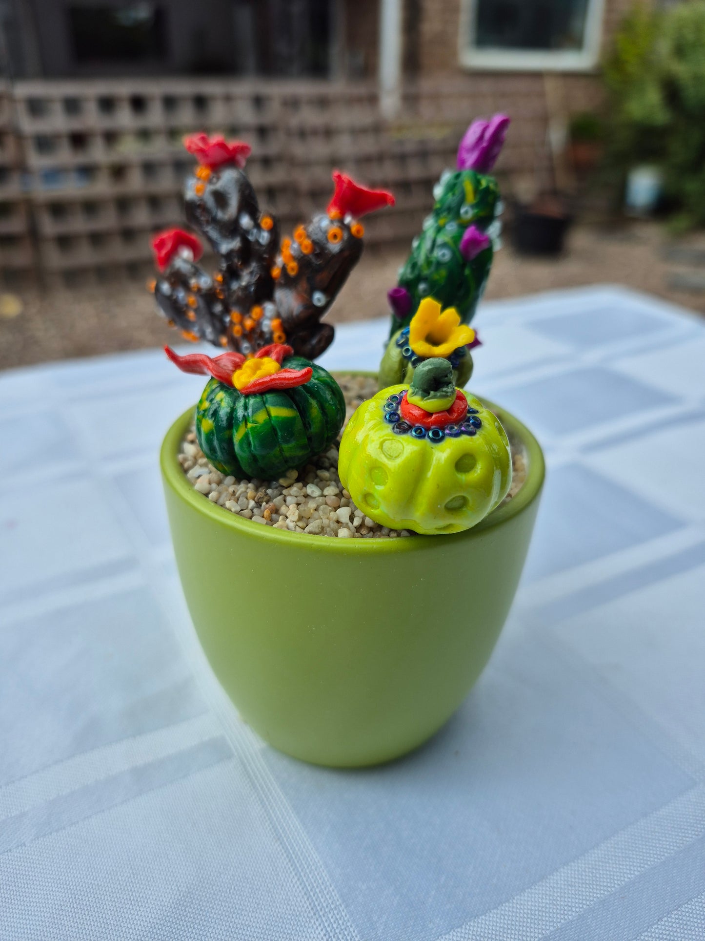 Green pot Cacti selection